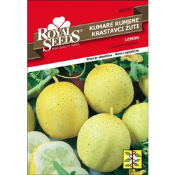 ROYAL SEEDS seme 150 Kumara rumena Lemon