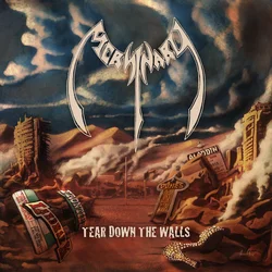 Mersinary - Tear Down The Walls (Limited Edition) (LP)
