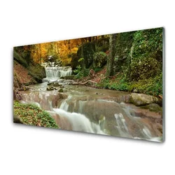 tulup.si Slika na steklu Forest slap narava 100x50 cm 2 obešalnika