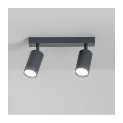 Brilagi - Spot svetiljka SELE 2xGU10/30W/230V antracit