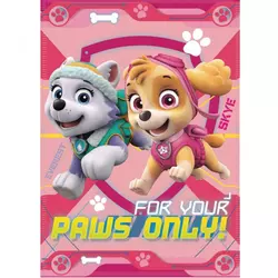 Ćebe Paw Patrol, PT07210, roze