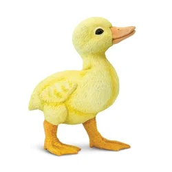 Safari Kačiatko