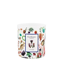 Carthusia Ammare Scented Candle Relaxing Atmosphere 300g