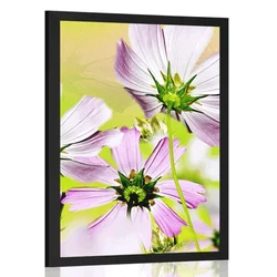 Plakat vrtne rože - 40x60 silver