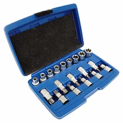 Silver Komplet srebrnih nastavkov Torx, 19 kosov