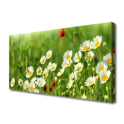 tulup.si Slika na platnu Daisy rastlin narava 120x60 cm