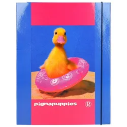 MAPA Z ELASTIKO PIGNA PUPPIES A4, 60691