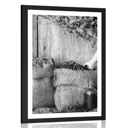 Plakat s paspartujem zdravilna zelišča v črnobeli varianti - 20x30 white