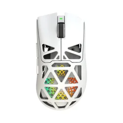 White Shark WGM 5025 MORIEN Wireless Mouse White