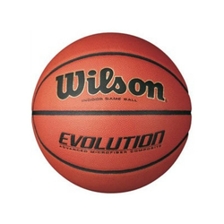 Lopta Wilson Evolution Basketball WTB0516