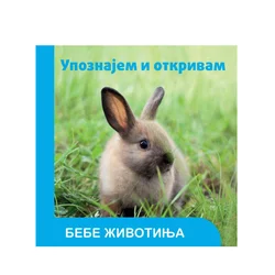 Vulkan upoznavanje i otkrivanje bebe životinja