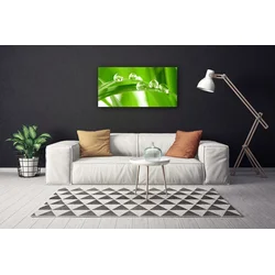 tulup.si Slika na platnu Listi narava rastlin 100x50 cm