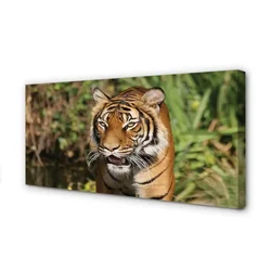tulup.si Slika na platnu Tiger woods 140x70 cm