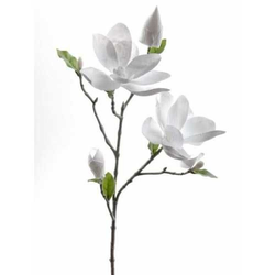 Novogodišnja dekoracija/ grana sa Magnolijama