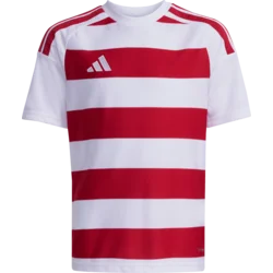 adidas Dres Hooped 26 Kids
