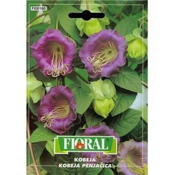 KOBEJA 0,3gr