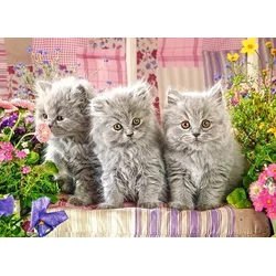 Castorland - Puzzle Gray kittens - 275 - 400 kosov