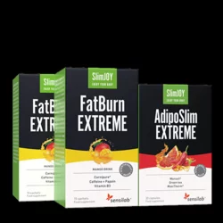 Active Fit