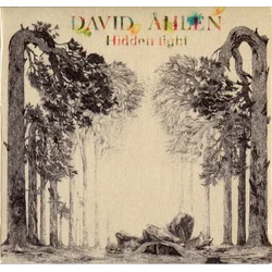 David Ahlén - Hidden Light (LP)