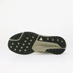 Nike ACG Pegasus Trail