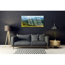 tulup.si Slika na steklu Mount forest narava 100x50 cm 2 obešalnika