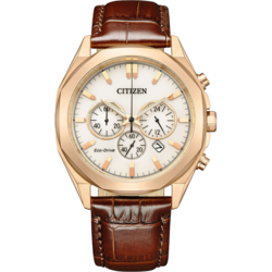 CITIZEN CA4593-15A