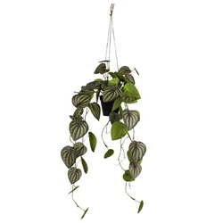 Veštačka Biljka 85cm Zwergpfeffer