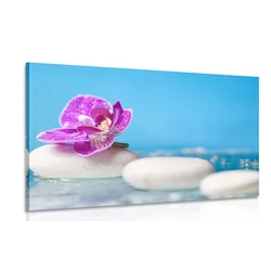 Slika orhideja in Zen kamni - 90x60