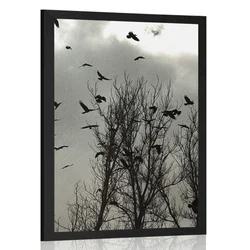 Plakat jata vran - 30x45 silver