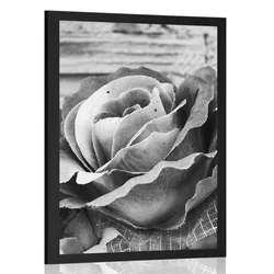 Plakat elegantna vintage vrtnica v črnobeli varianti - 20x30 no frame