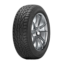Riken Snow ( 205/55 R16 91H )