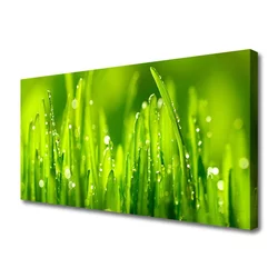 tulup.si Slika na platnu Green grass dew drops 120x60 cm