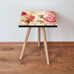 Hanah Home Klub sto Shp306, 35x42x35 cm, Šareni