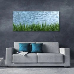 tulup.si Slika na platnu Voda grass nature 120x60 cm