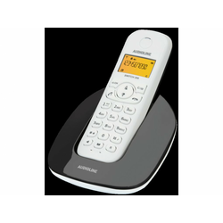 VTECH telefon switch DECT GAP