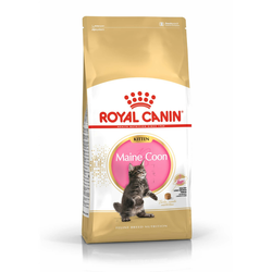 Royal Canin Kitten Maine Coon- suha hrana za mačiće 10 kg