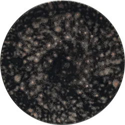 COSTA NOVA Roda plitvi krožnik, iris, premer: 277 mm (6 kos)