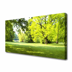 tulup.si Slika na platnu Grass nature park drevesa 120x60 cm