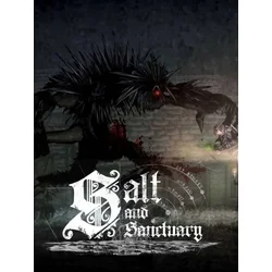 Salt and Sanctuary