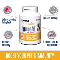 GIGI Imunofil za imunitet 30 tableta