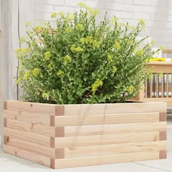 Vrtna sadilica 50 x 50 x 23 cm od masivne borovine