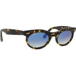 Ray-Ban Wayfarer Oval Naočare za sunce RB 2242 13323F