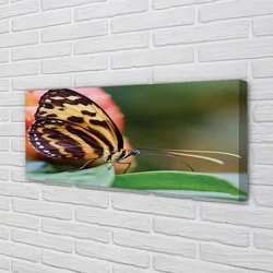 tulup.si Slika na platnu Metulj 140x70 cm