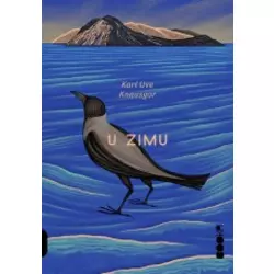 U zimu