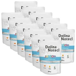 Dolina Noteci Premium Junior Rich In Lamb 12 x 300 g