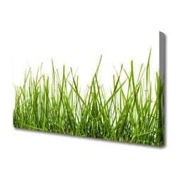 tulup.si Slika na platnu Grass nature rastlin 120x60 cm