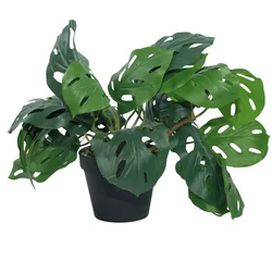 DekorDom Veštačko cveće u saksiji Monstera Zd-Bybg19(A)-Pgj, 32 cm