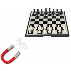 Magnetni šah