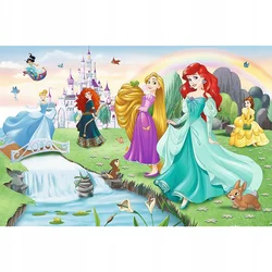 Trefl 17361 60 - Spoznajte princese/Disneyjeva princesa