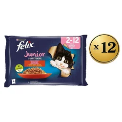 Felix Vlažna hrana za mačke prelivi Junior, 48x85g